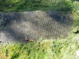 image of grave number 674406
